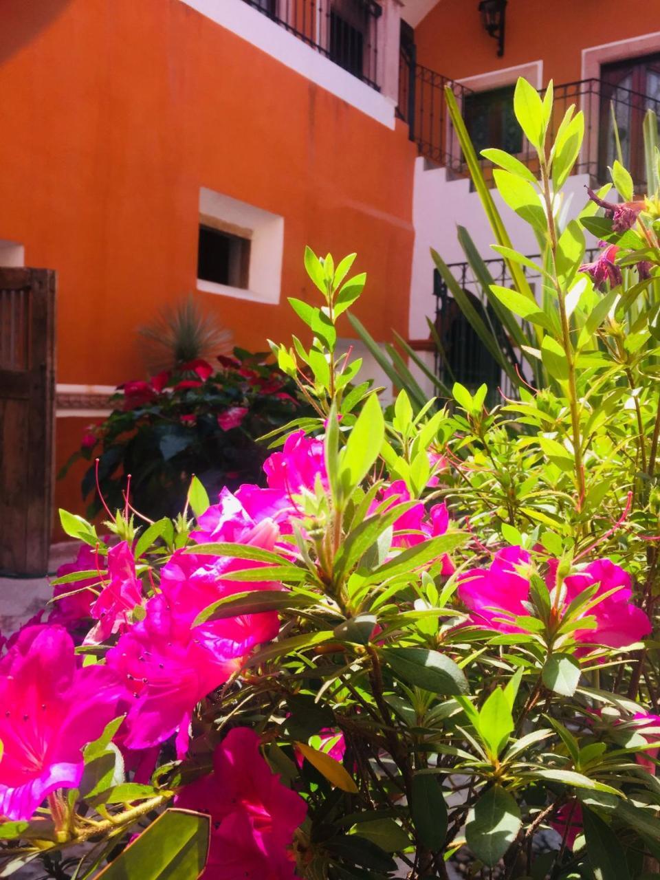 Casa Pozo Del Rayo Hotel Boutique Dolores Hidalgo Dış mekan fotoğraf